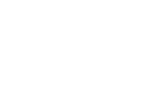bmz-logo