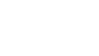 gizlogo-logo
